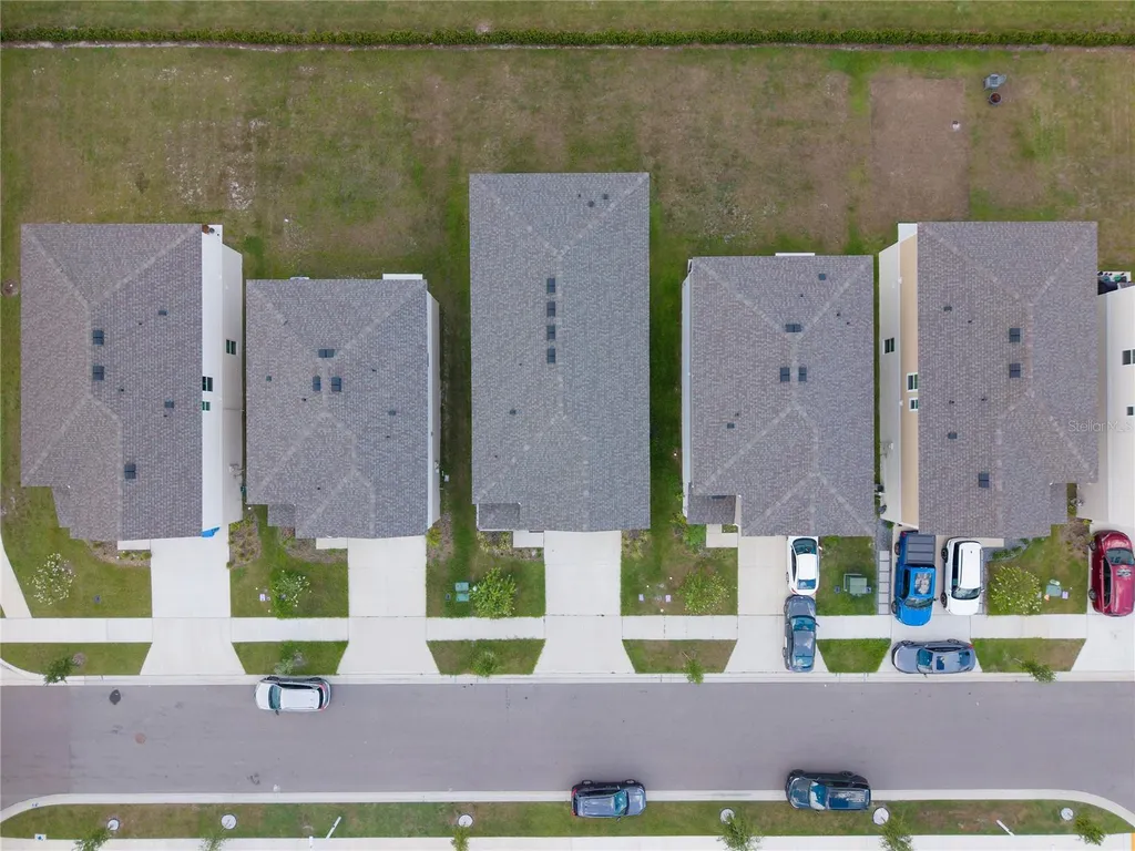 7917 Peace Lily Avenue Wesley Chapel FL 33545