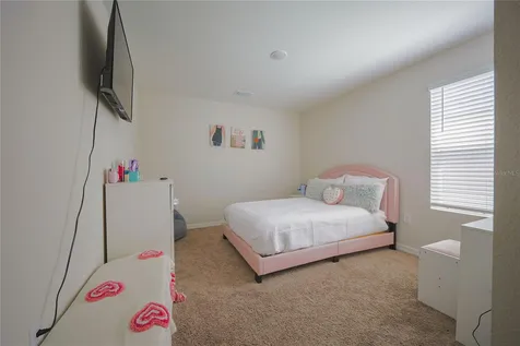 7917 Peace Lily Avenue Wesley Chapel FL 33545