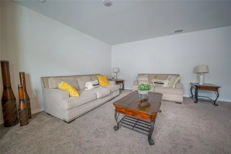 7917 Peace Lily Avenue Wesley Chapel FL 33545