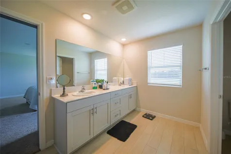 7917 Peace Lily Avenue Wesley Chapel FL 33545