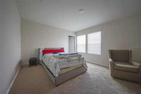 7917 Peace Lily Avenue Wesley Chapel FL 33545