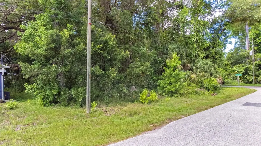 6416 Theresa Avenue Weeki Wachee FL 34607