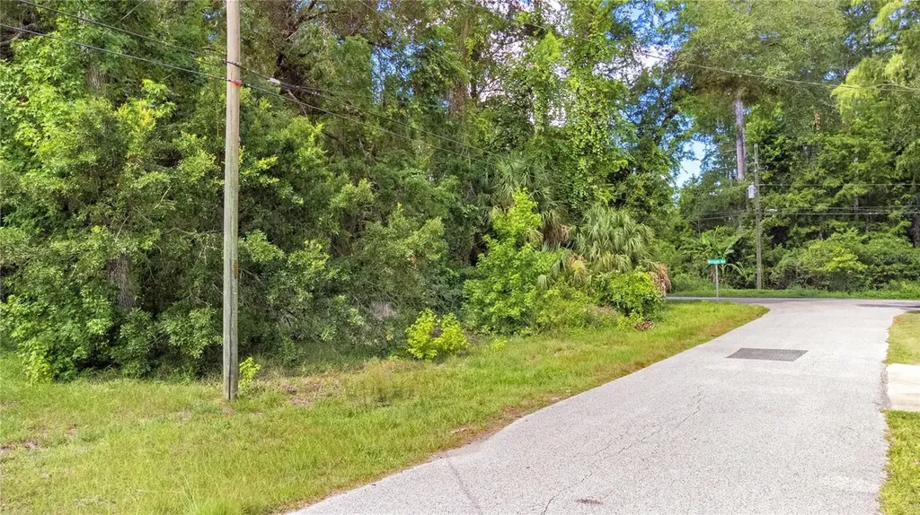 6416 Theresa Avenue Weeki Wachee FL 34607