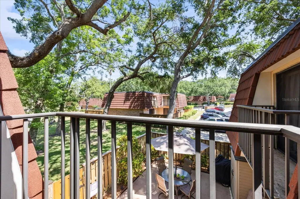 2626 2nd Court Palm Harbor FL 34684