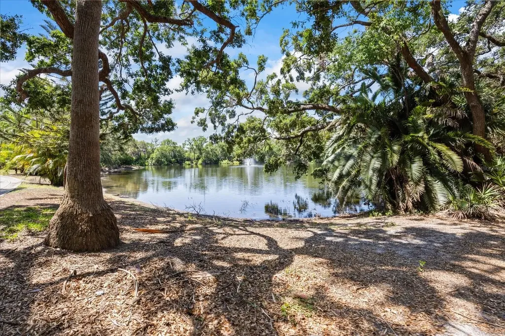 2626 2nd Court Palm Harbor FL 34684