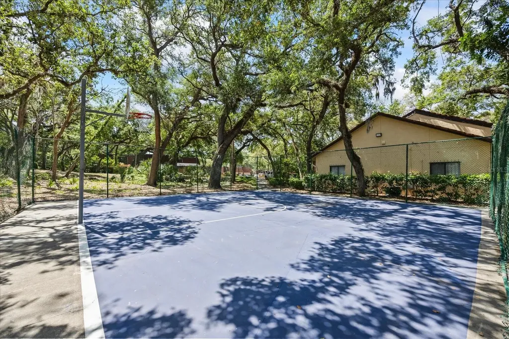 2626 2nd Court Palm Harbor FL 34684