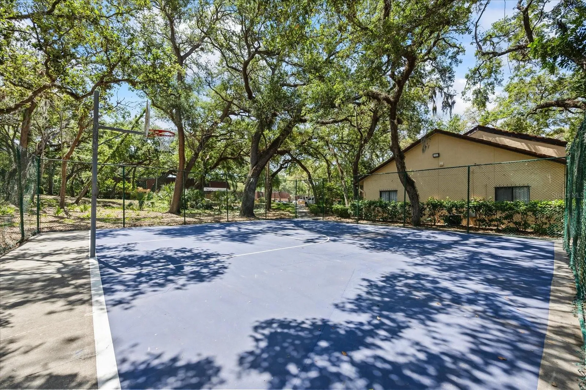 2626 2nd Court Palm Harbor FL 34684