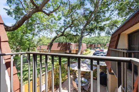 2626 2nd Court Palm Harbor FL 34684