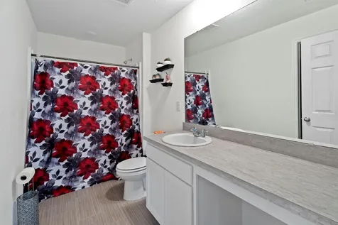 27 Magnolia Blossom Lane Kissimmee FL 34759