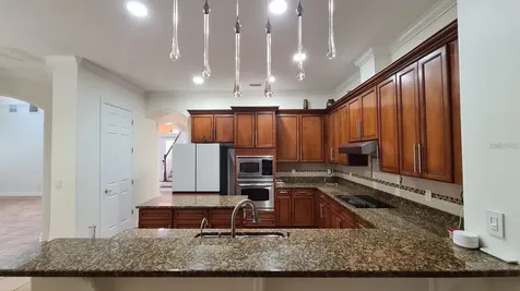 10547 Martinique Isle Drive Tampa FL 33647