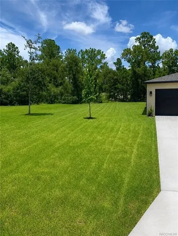 8827 N Vienna Drive Dunnellon FL 34433