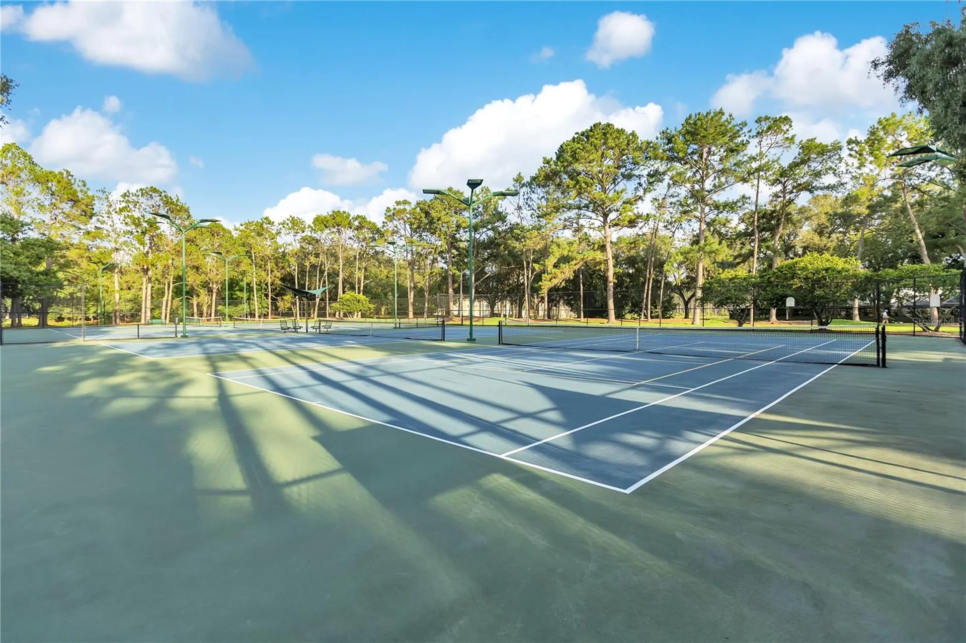 9303 Heritage Oak Court Tampa FL 33647