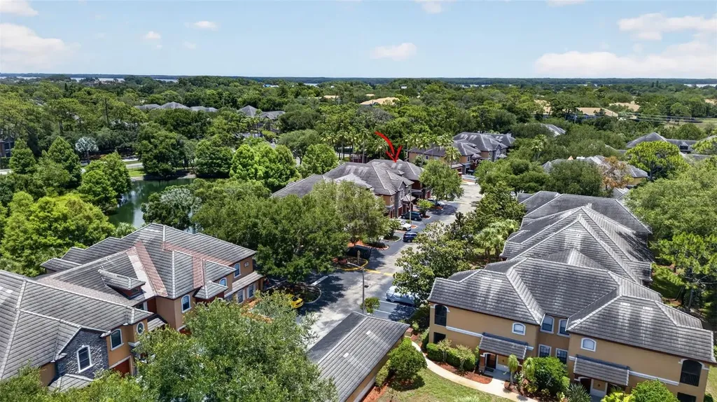 2217 Tuscany Trace Palm Harbor FL 34683