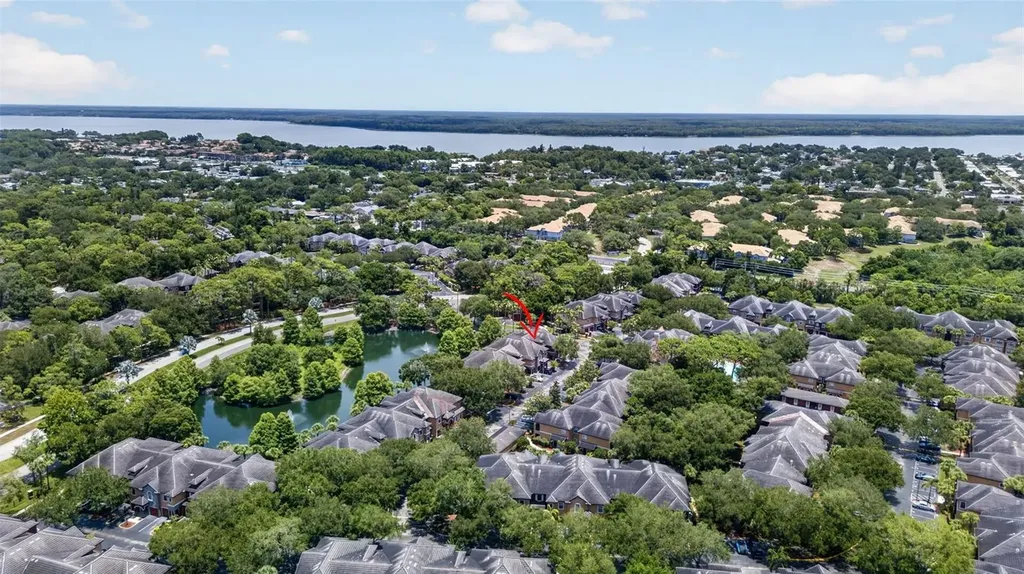 2217 Tuscany Trace Palm Harbor FL 34683