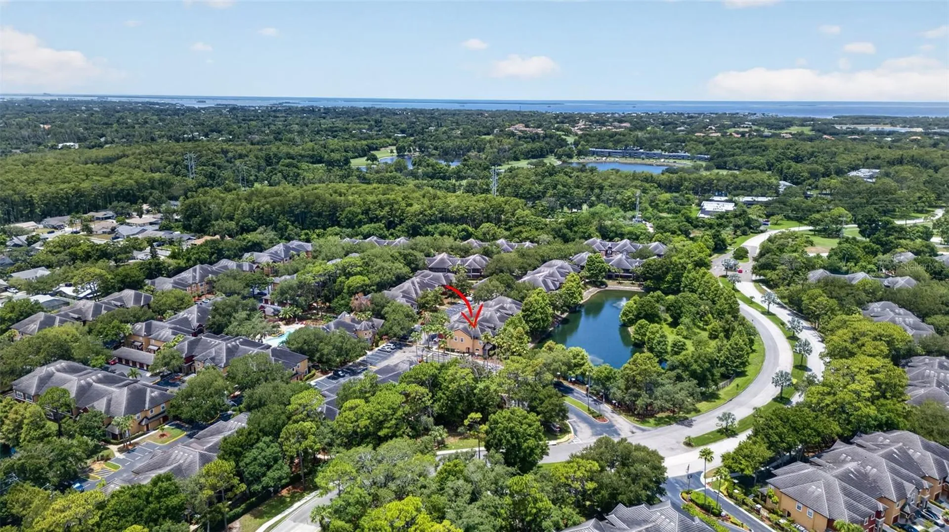 2217 Tuscany Trace Palm Harbor FL 34683