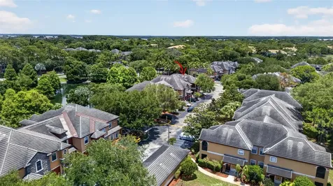 2217 Tuscany Trace Palm Harbor FL 34683