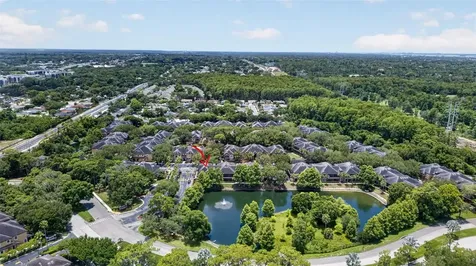 2217 Tuscany Trace Palm Harbor FL 34683