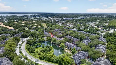 2217 Tuscany Trace Palm Harbor FL 34683