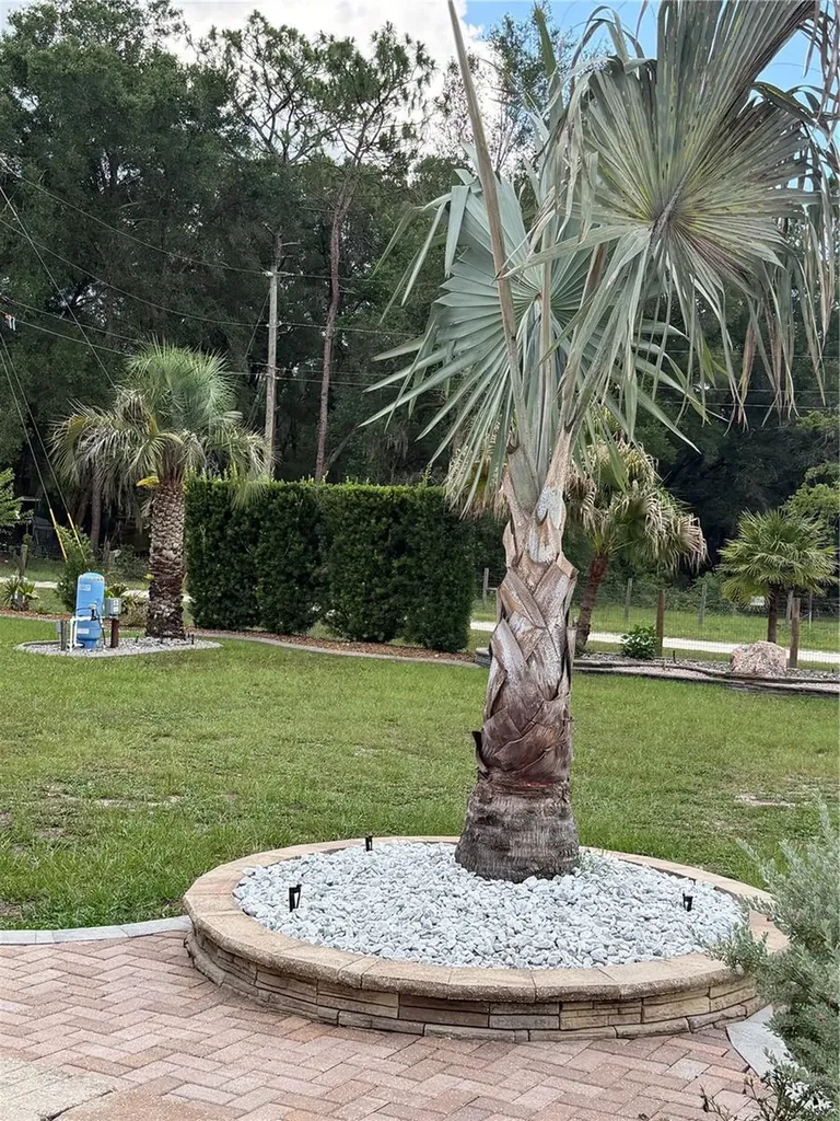 2485 SE 174th Place Summerfield FL 34491