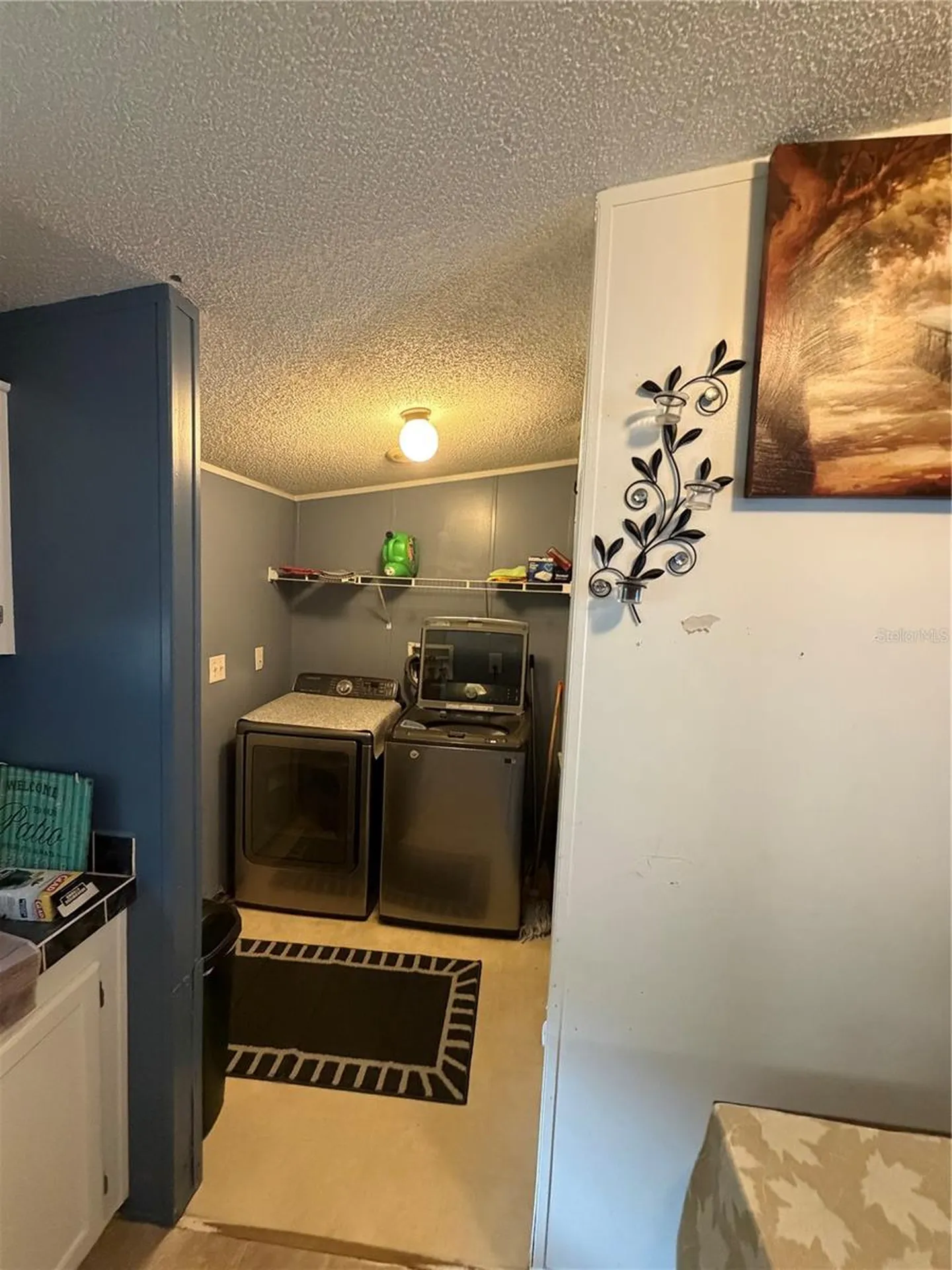2485 SE 174th Place Summerfield FL 34491