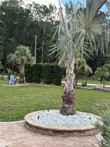 2485 SE 174th Place Summerfield FL 34491
