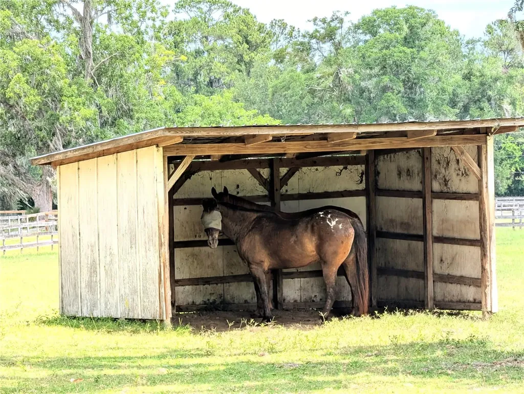 1750 SE 80th Street Ocala FL 34480