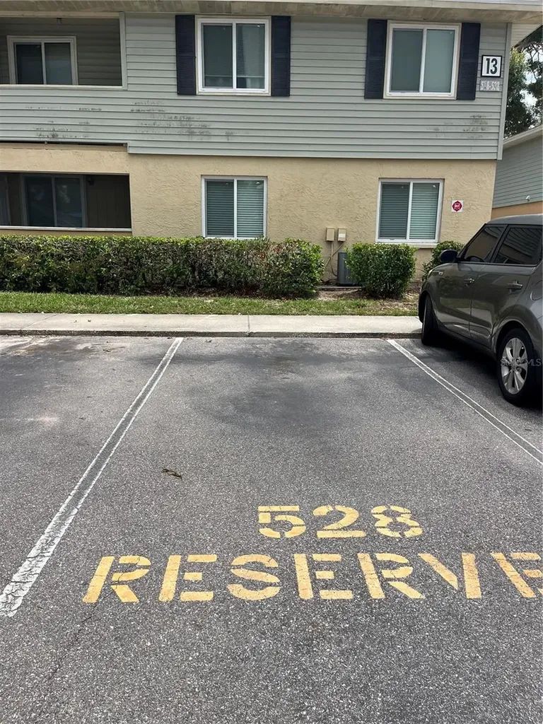 528 Golden Raintree Place Brandon FL 33510