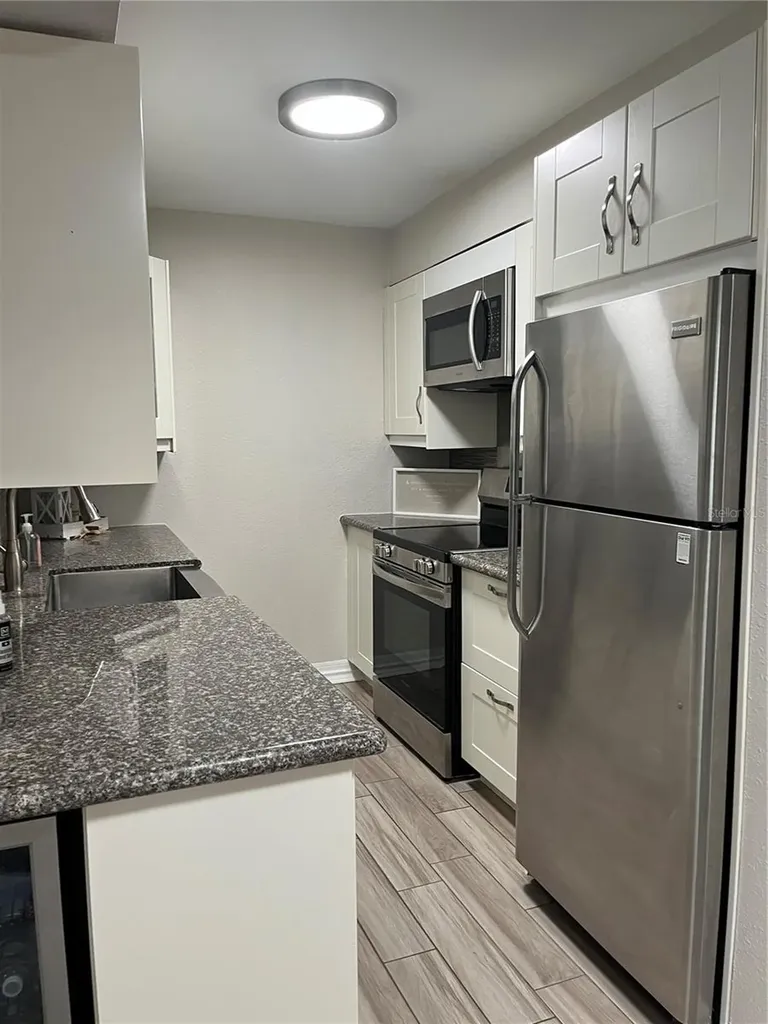 528 Golden Raintree Place Brandon FL 33510