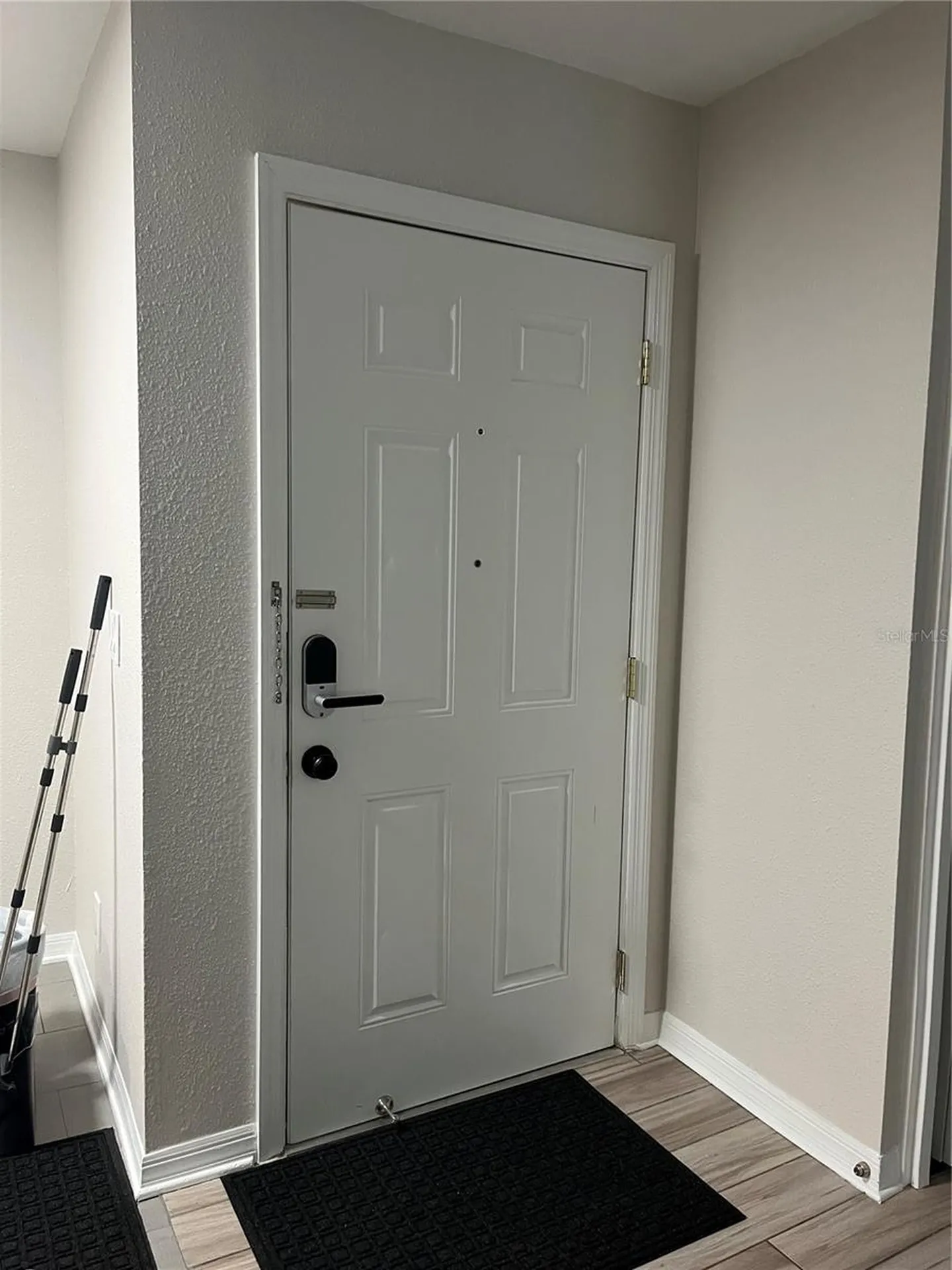 528 Golden Raintree Place Brandon FL 33510