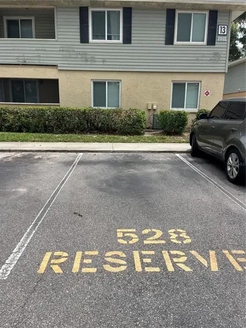528 Golden Raintree Place Brandon FL 33510