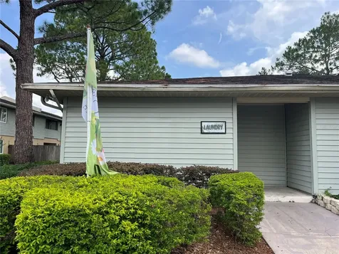 528 Golden Raintree Place Brandon FL 33510