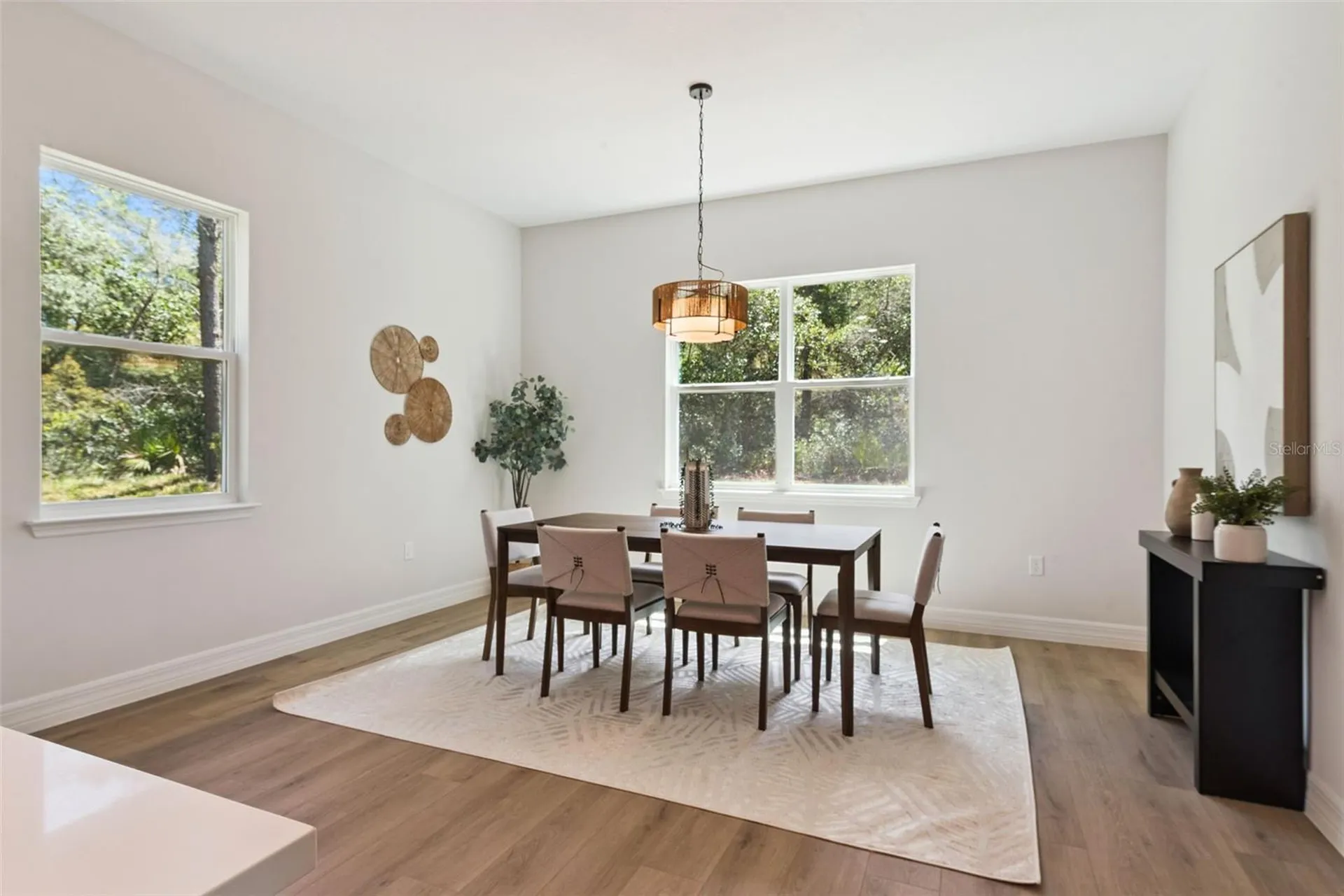 41650 Ligustrum Street Eustis FL 32736