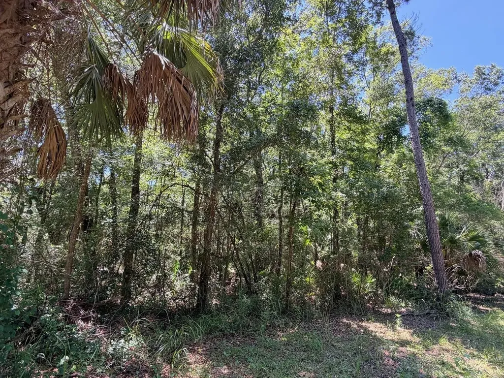 0 SE Highway 19 Inglis FL 34449