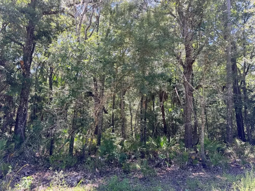 0 SE Highway 19 Inglis FL 34449