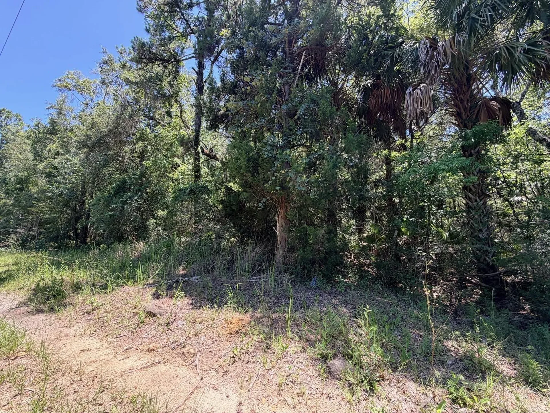 0 SE Highway 19 Inglis FL 34449
