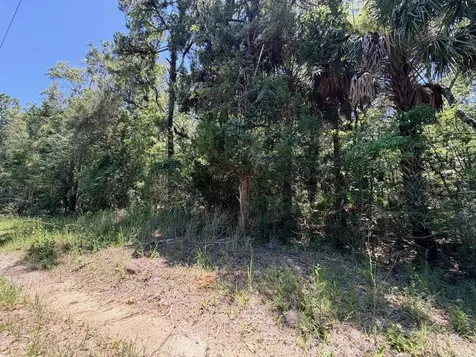 0 SE Highway 19 Inglis FL 34449