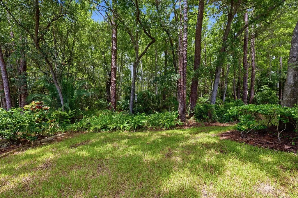 14613 Mirabelle Vista Circle Tampa FL 33626