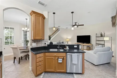 14613 Mirabelle Vista Circle Tampa FL 33626