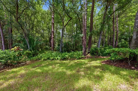 14613 Mirabelle Vista Circle Tampa FL 33626