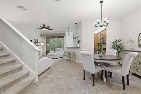 14613 Mirabelle Vista Circle Tampa FL 33626