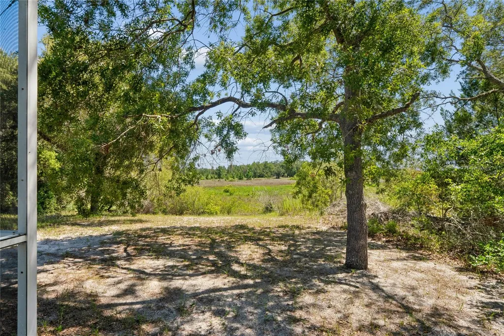 6381 Pinehurst Drive Spring Hill FL 34606