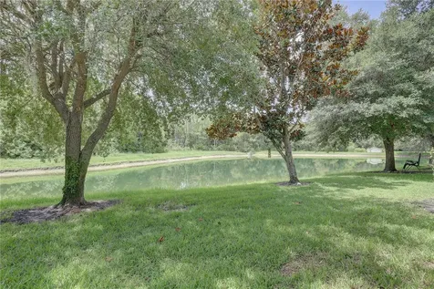 9516 Charlesberg Drive Tampa FL 33635
