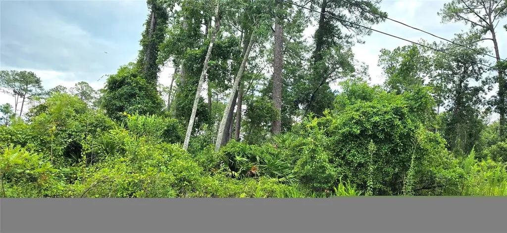 10TH Avenue Deland FL 32724