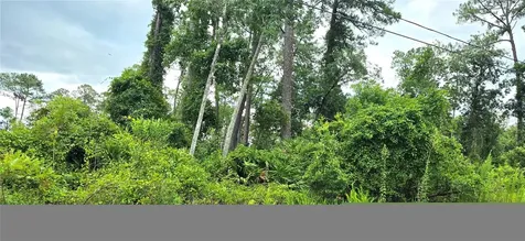 10TH Avenue Deland FL 32724