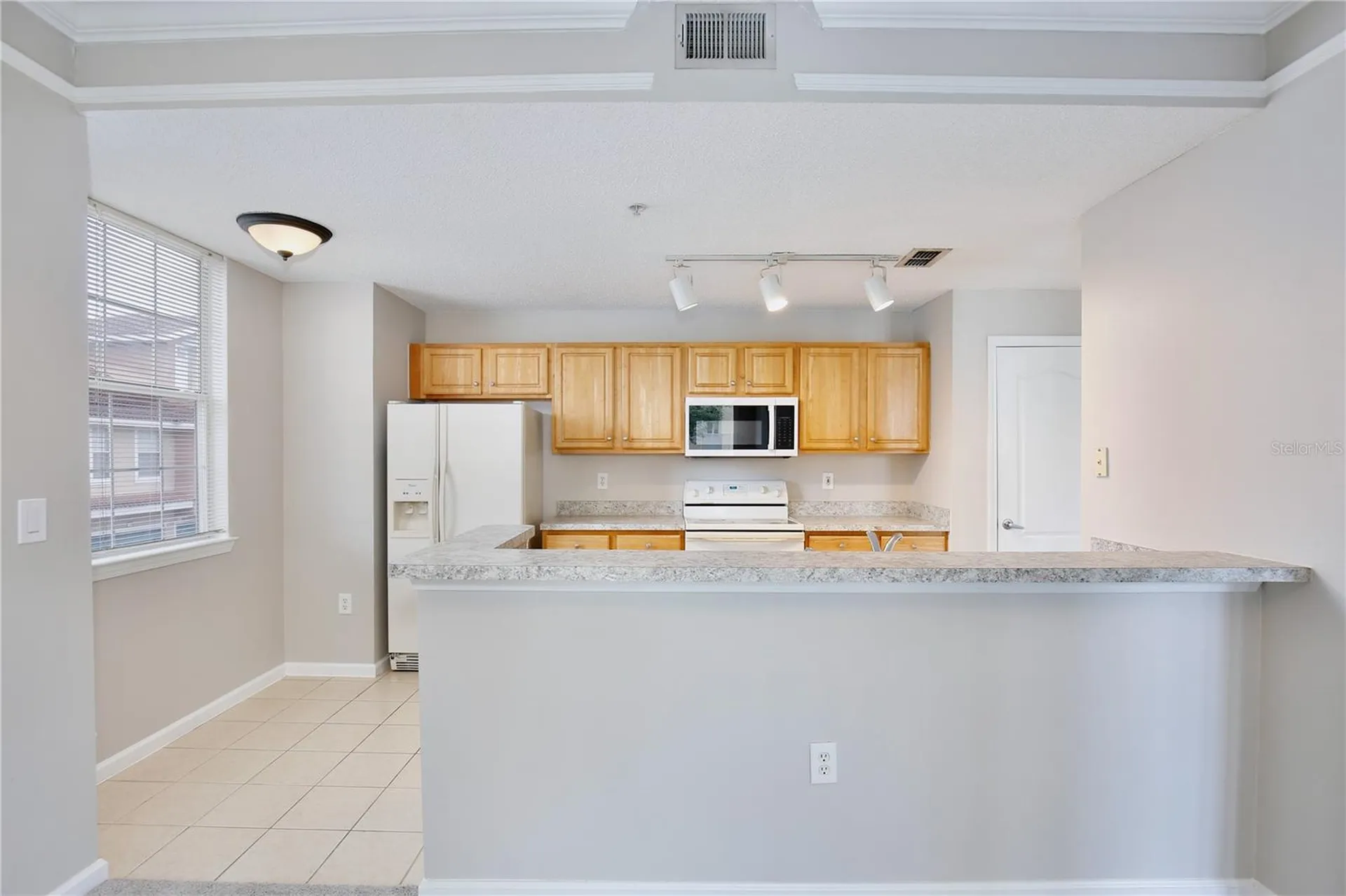 12203 Wild Iris Way Orlando FL 32837