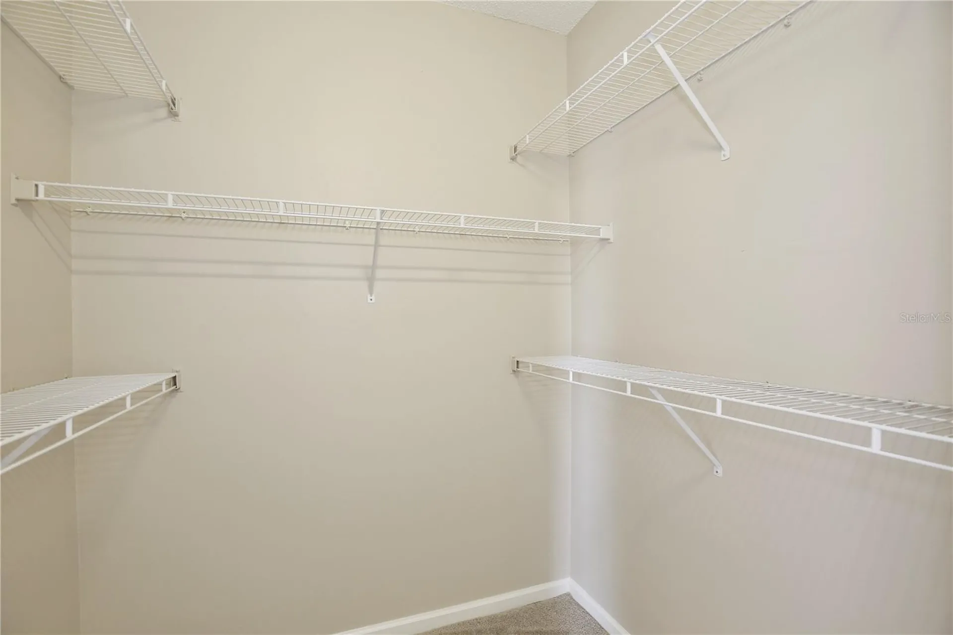 12203 Wild Iris Way Orlando FL 32837