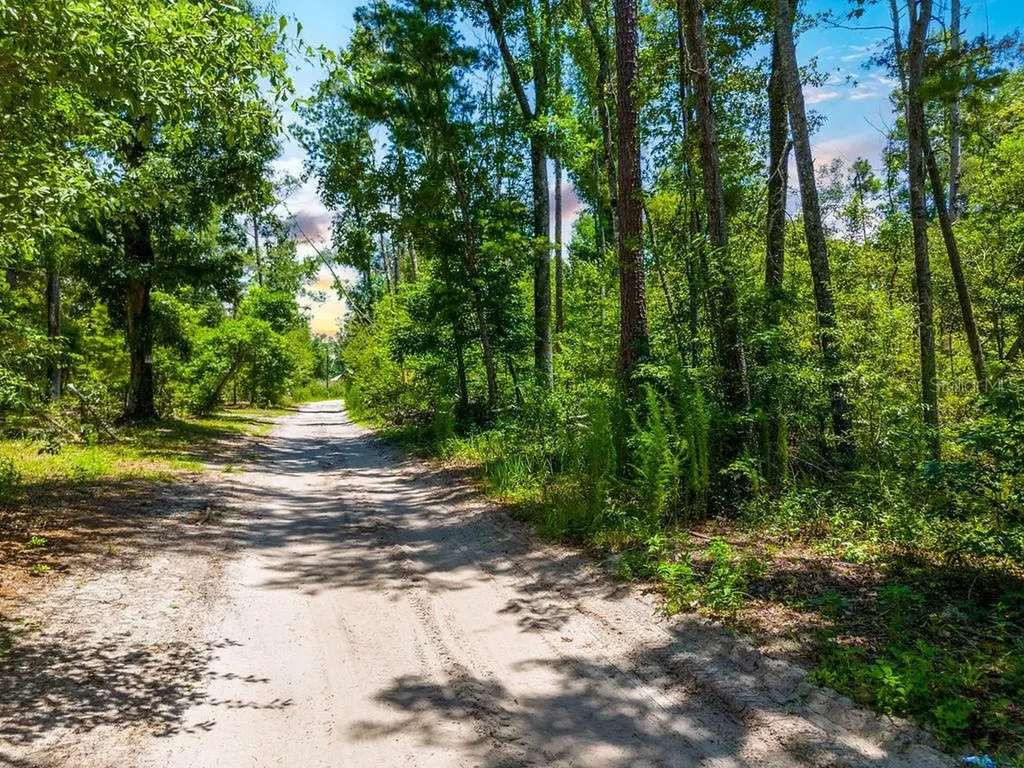 7679 NW 28th Street Jennings FL 32053