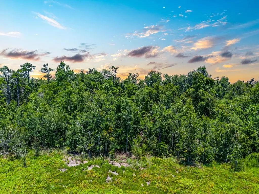 7679 NW 28th Street Jennings FL 32053