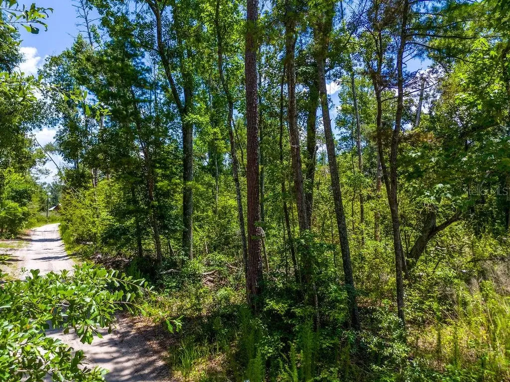 7679 NW 28th Street Jennings FL 32053