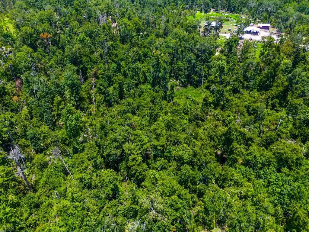7679 NW 28th Street Jennings FL 32053